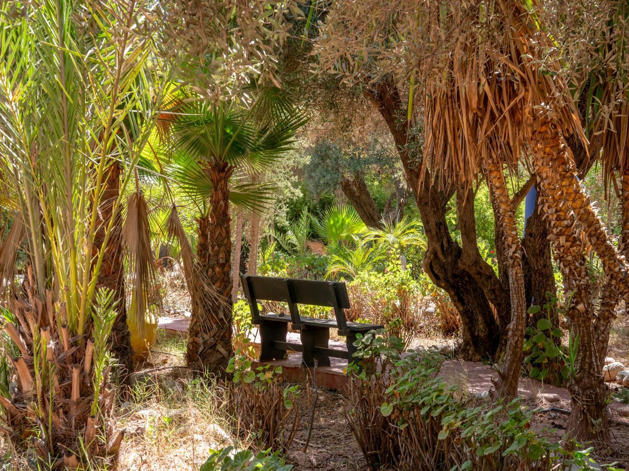 Riad Cle De Sol El Jem'a Ghemat Dış mekan fotoğraf